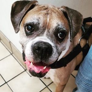 Meet your Posher, Steve